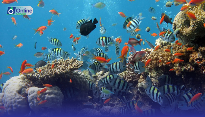 Lesson 19: Description of Hostile and Helpful Interactions in Social Behavior